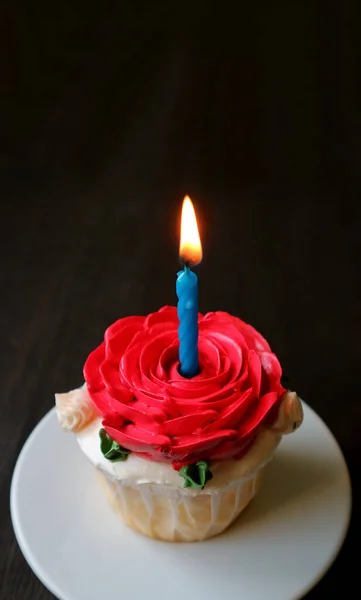 赤いバラの形をしたホイップクリームに輝くキャンドルで飾られた素敵な誕生日ケーキ — ストック写真