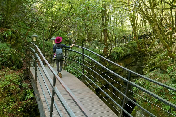 Caminhante Feminina Caminhando Ponte Madeira Parque Nacional — Fotografia de Stock