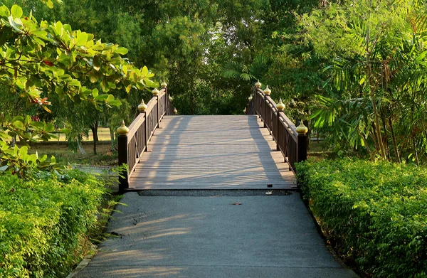 Drewniany Most Wśród Żywych Zielonych Liści Parku — Zdjęcie stockowe