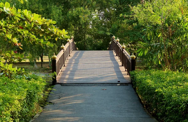 Houten Brug Tussen Levendig Groen Gebladerte Het Park — Stockfoto