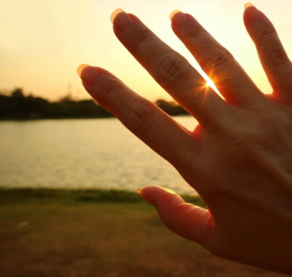 Luz Solar Deslumbrante Brilhando Através Dos Dedos Mão Mulher — Fotografia de Stock
