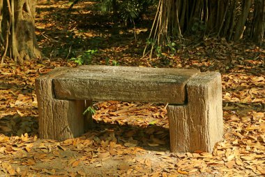 Sonbahar parkında boş ahşap bank