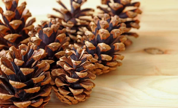 Closeup Many Natural Dry Pine Cones Wooden Background — Stock Photo, Image