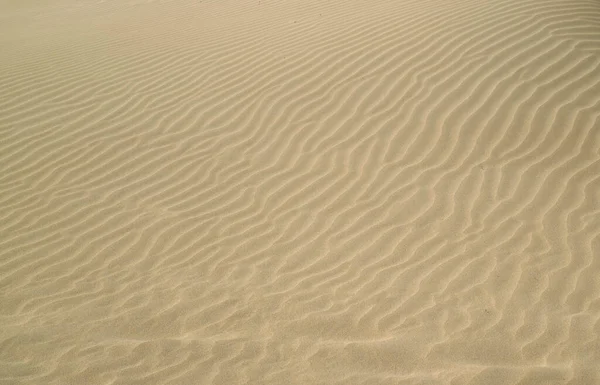 해변에 물결치는 모래의 예술적 — 스톡 사진