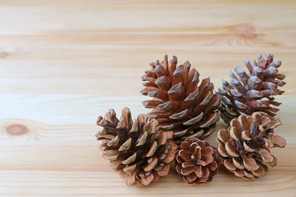 Close Many Natural Dry Pine Cones Different Size Light Brown — Stock Photo, Image