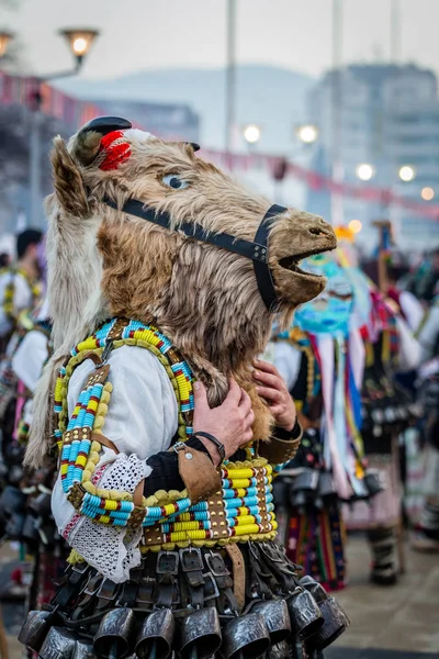 Mummers eseguire rituali per spaventare gli spiriti maligni al festival Surva a Pernik in Bulgaria. Le persone con le maschere si chiamano Kuker (kukeri). Maschera cavallo . — Foto Stock