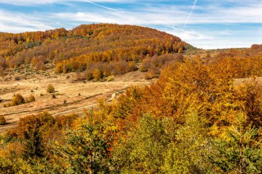 Bulgaristan 'daki Balkan Dağları' nın güzel sonbahar manzarası.