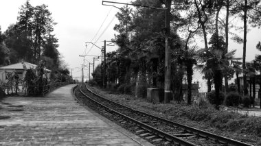Tren yolu ormandan geçiyor.