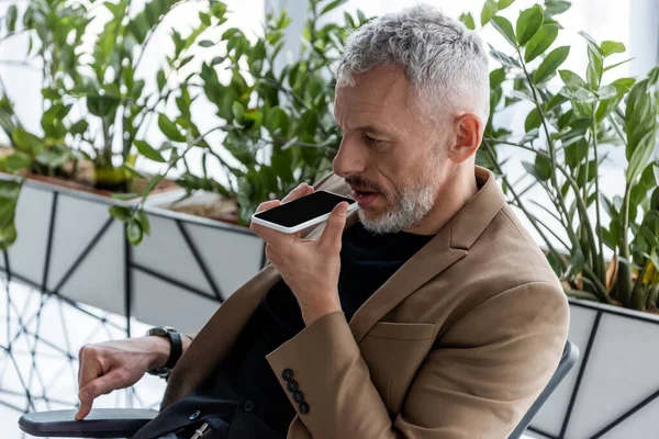 Bearded Businessman Recording Voice Message Green Plants Office — Stock Photo, Image