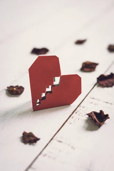 Červené zlomené srdce s sušené okvětní — Stock fotografie