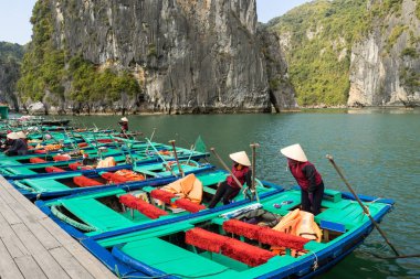 Halong Bay, Vietnam otopark turizm tekne