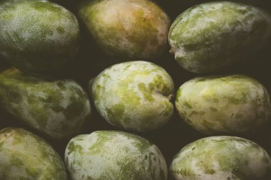 taze renkli tropikal Mango