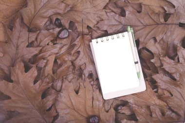 Kuru sonbahar yaprakları ve dizüstü