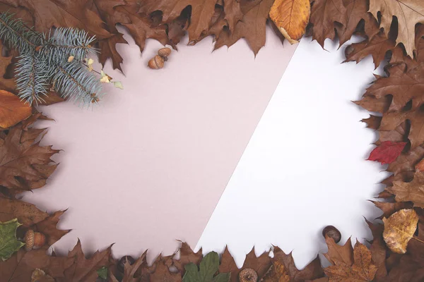 Höstens bakgrund - ram höstlöv — Stockfoto