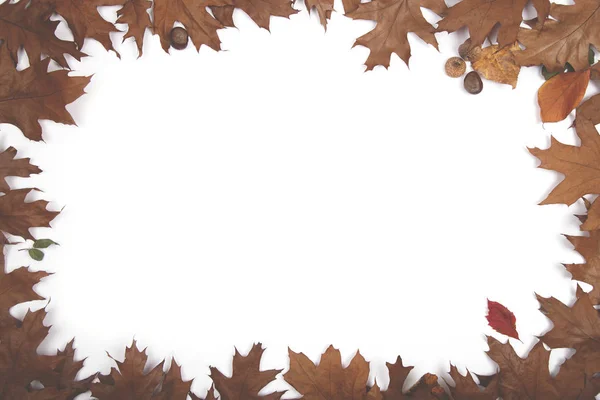 秋の背景-フレーム秋の葉 — ストック写真