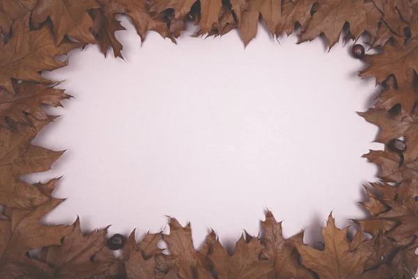 Herfst achtergrond - frame herfst bladeren — Stockfoto