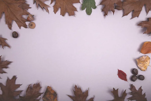 秋の背景-フレーム秋の葉 — ストック写真