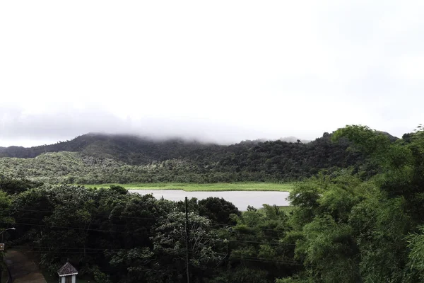 Tropical jungle on the lake — Stock Photo, Image