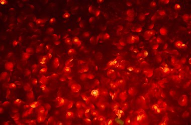 Kırmızı Soyut Arkaplan