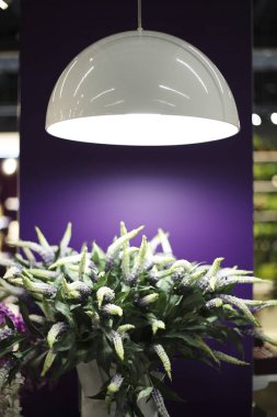 Lambanın altında çiçek aranjmanları var.