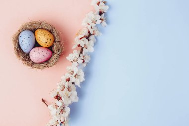 Güzel pembe arka plan, bahar çiçekleri, Paskalya yumurtaları, üst manzara, düz yatak, çerçeve. Yaratıcı ilkbahar düzeni, afişi veya şablonu