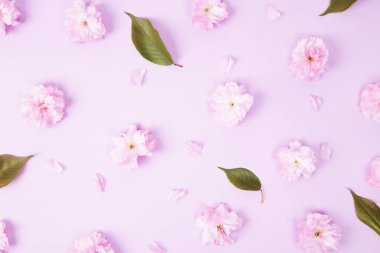Pembe çiçekler, arka planda pembe sakura deseni.