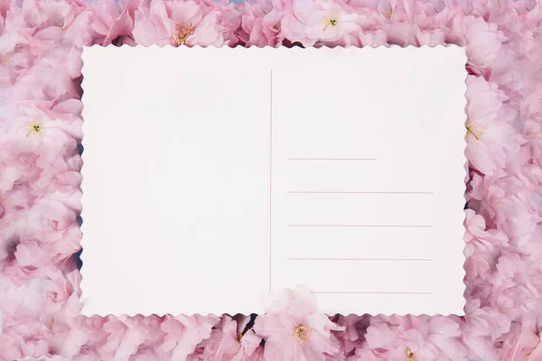 Ροζ Λουλούδι Sakura Ευχετήρια Κάρτα Για Μήνυμα Πρόσκληση Έννοια Ημέρα — Φωτογραφία Αρχείου