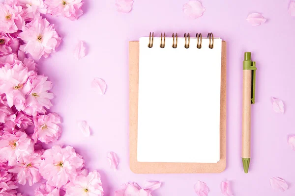 Tomma Anteckningsbok Med Sakura Blommor Rosa Bakgrund Begreppet Nollavfall — Stockfoto