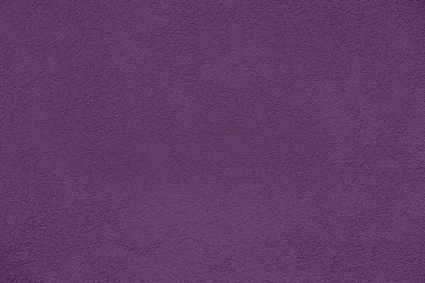 Parede Texturizada Cor Pantone Compota Uva Moda Verão Primavera 2020 — Fotografia de Stock