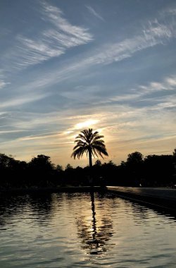 Orman, çimen, dağlar, doğa, pireneler, göl, gökyüzü, bulutlar, palmiye, ağaç