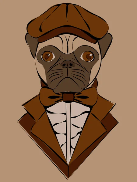 Cute Illustrasion Pug Old Fashioned Brown Cap Jacket Beige Backgrond — Stock Vector