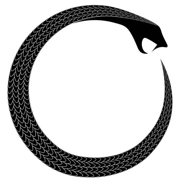 古老的神秘和炼金术符号盘绕在蛇尾巴上吃紫罗兰花 — 图库矢量图片