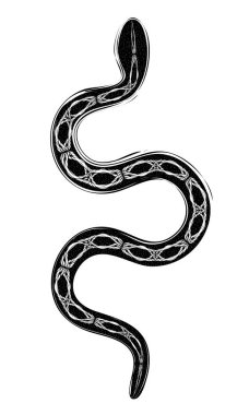 soyut gotik okült baskı veya kara yılanın dövme çizimi