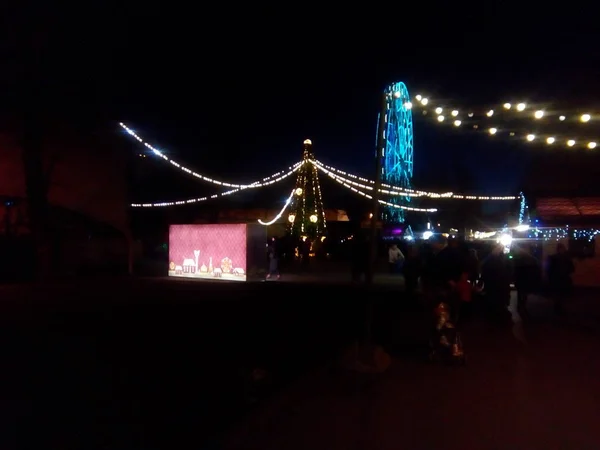 Колесо Обозрения Ночном Городе Праздничное Освещение Люди Отдыхают Парке Отдыха — стоковое фото