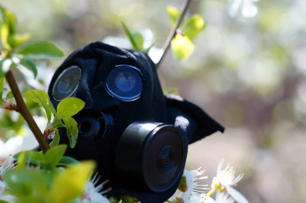 Stara Maska Gazowa Dzikich Kwiatach Ochrona Środowiska — Zdjęcie stockowe