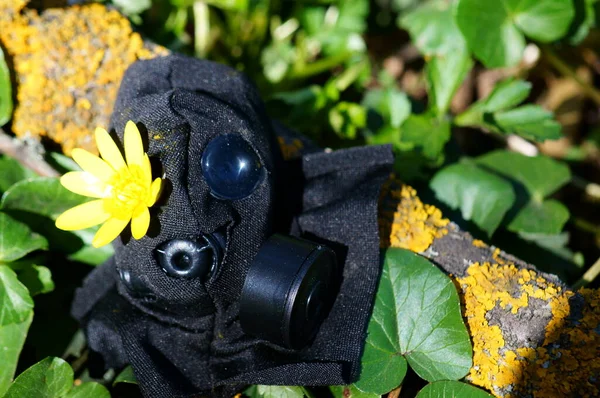 Stara Maska Gazowa Dzikich Kwiatach Ochrona Środowiska — Zdjęcie stockowe