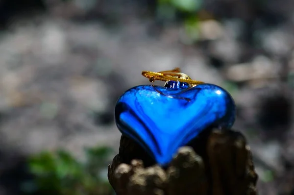 Çok Renkli Bir Arkaplanda Mavi Kalp — Stok fotoğraf