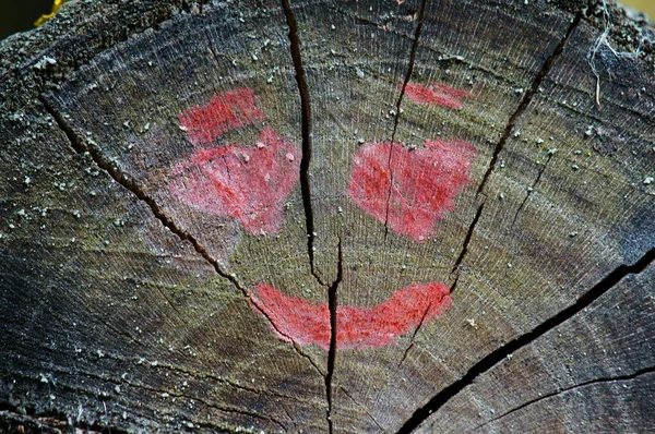 两颗心和一个微笑在木制的表面 — 图库照片