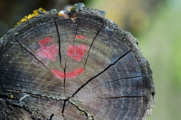 Dwa Serca Uśmiech Drewnianej Powierzchni — Zdjęcie stockowe