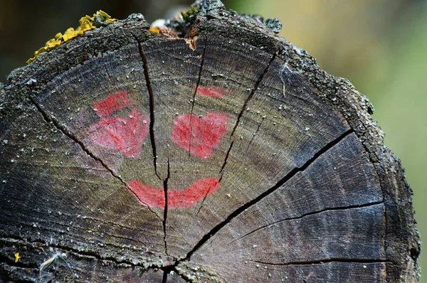 Dwa Serca Uśmiech Drewnianej Powierzchni — Zdjęcie stockowe
