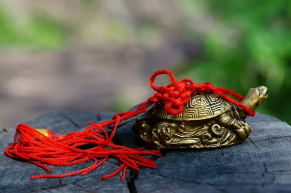 Metalen Schildpad Met Chinese Munten — Stockfoto