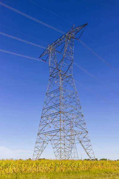 高压电力线路和反对蓝蓝的天空和玉米塔场 — 图库照片