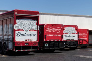 Terre Haute - Mayıs 2020: Budweiser dağıtım kamyonları. Budweiser, dünyanın en büyük bira şirketi olan AB InBev 'in bir parçası..