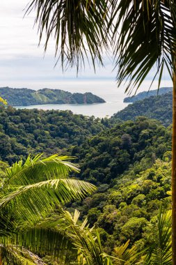 Tropik Pasifik kıyıları. Kosta Rika
