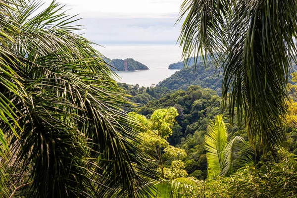 Tropikalny Pacyfik. Kostaryka — Zdjęcie stockowe