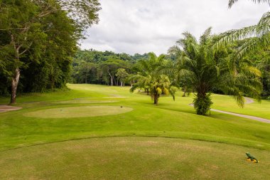 Golf sahasında manzara. Tropikal bölge