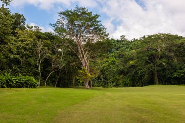 Golf sahasında manzara. Tropikal bölge