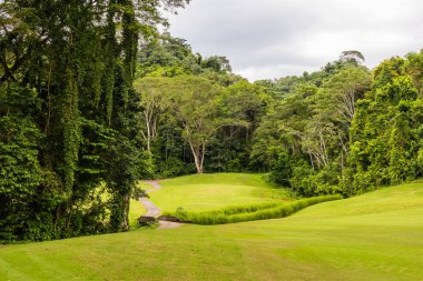 Golf sahasında manzara. Tropikal bölge