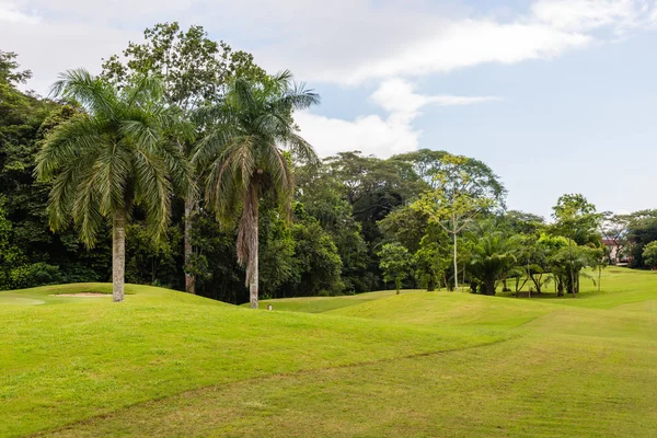 Paisaje en el campo de golf. Zona tropical —  Fotos de Stock