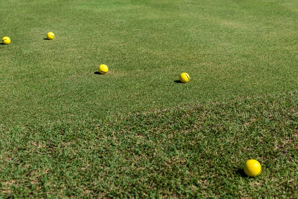 Желтые мячи для гольфа лежат на траве — стоковое фото